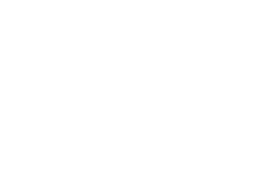 FAYREY logo on home page